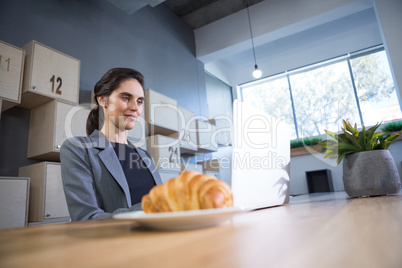 Female executive using laptop at desk