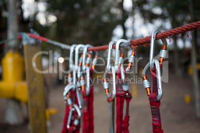Harnesses hanging on rope in the forest