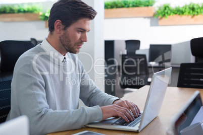 Male executive working on his laptop