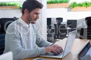 Male executive working on his laptop