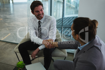 Businessman shaking hands with male executive