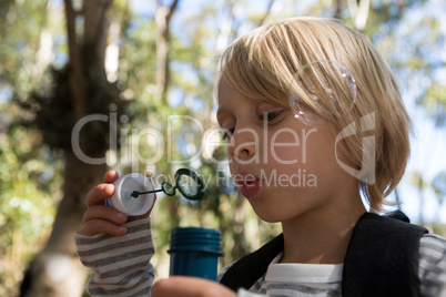 Little girl blowing bubbles on a sunny day in the forest