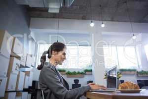 Female executive using laptop at desk
