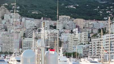Monaco city town Monte Carlo street palm sunny day