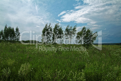 stormy sky in the summer in rural