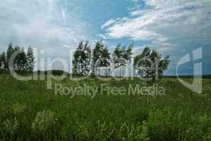 stormy sky in the summer in rural