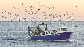 Fisher boat with many seagulls