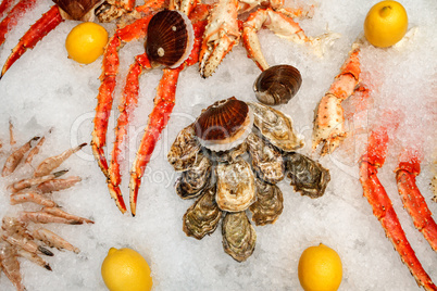 Tray with a lot of type of seafood