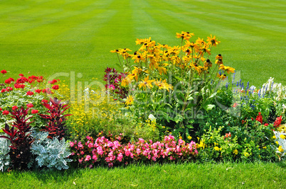 Summer flowerbed and green lawn.