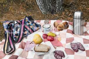 Breakfast in the woods while collecting mushrooms.