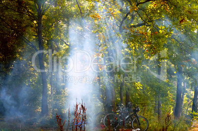 to ignite a forest fire, the smoke from the fire spreading through the woods