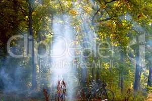 to ignite a forest fire, the smoke from the fire spreading through the woods