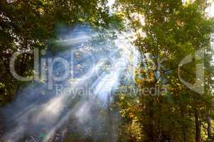 to ignite a forest fire, the smoke from the fire spreading through the woods