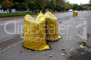 yellow garbage bags filled with fallen leaves, cleaning the stre