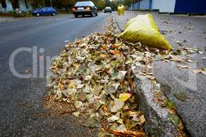 yellow garbage bags filled with fallen leaves, cleaning the stre