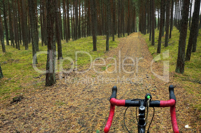 the bike on the background of the forest track, road bike with r