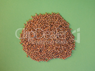 lentils pulse grain legume (Lens Culinaris) legumes vegetables food with copy space