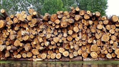 Wood logs by the river