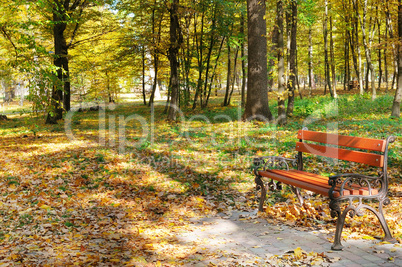 Beautiful autumn park with paths and benches.