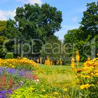Summer park with beautiful flower beds.