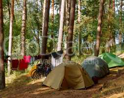 tourist tents in the forest near a lake, summer holidays in tents