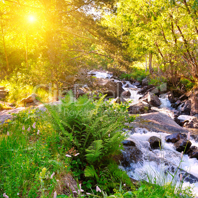 Mountain river, forest and bright sunrise.