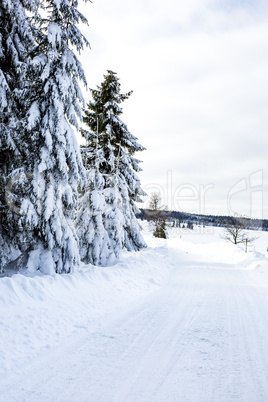 Winter scenery with snowy street