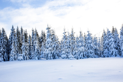 Winter scenery with snow