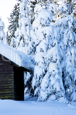 Winter scenery with snowy street