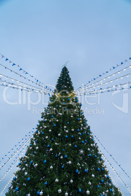 View of the main Christmas tree of the city.