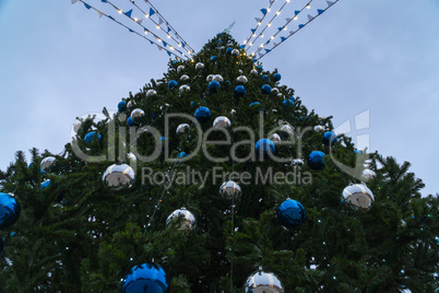 View of the main Christmas tree of the city.