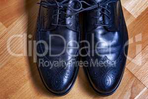 Elegant men's shoes