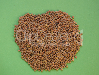 lentils pulse grain legume (Lens Culinaris) legumes vegetables food with copy space