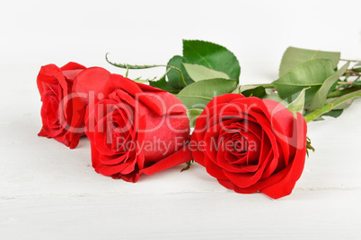 Beautiful red roses on a white wooden background. Free space for