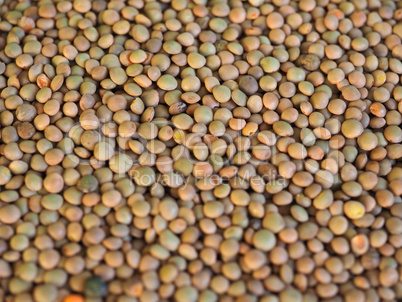 lentils pulse grain legume (Lens Culinaris) legumes vegetables food background