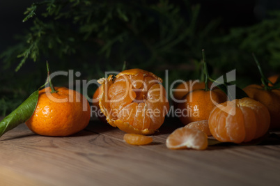 Juicy tangerines. Still life.