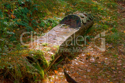 bench made of logs, wooden bench in the forest