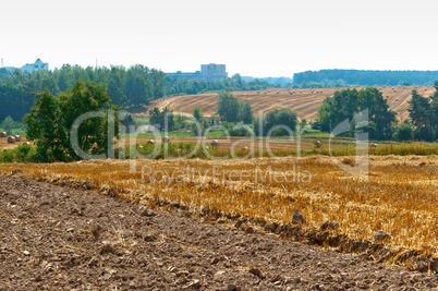 twisted hay in the field, bundles of hay, fields with twisted haystacks