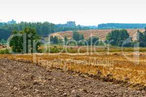 twisted hay in the field, bundles of hay, fields with twisted haystacks