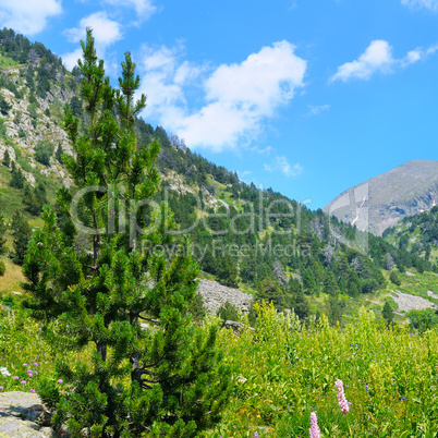 Picturesque mountain landscape,meadow, hiking trail and sky.