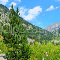 Picturesque mountain landscape,meadow, hiking trail and sky.
