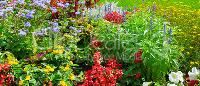 Summer flower bed and green lawn.