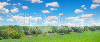 Green field and blue sky with light clouds.