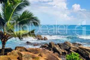 Beach tropical ocean with palm trees and lagoon