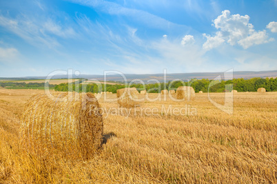 Straw bales on wheat field and blue sky.