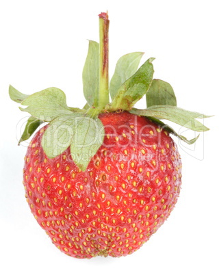 one raw red Strawberry one raw red Strawberry