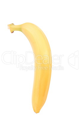 raw Yellow Banana Isolated