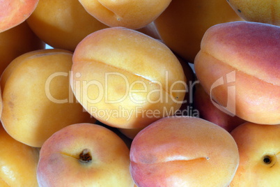 many orange peach at day