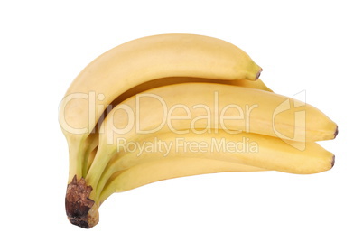 many yellow banana isolated