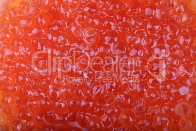 red caviar at day